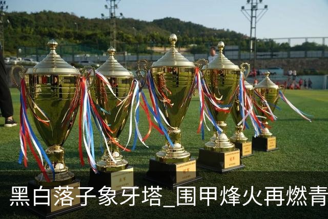 黑白落子象牙塔 围甲烽火再燃青岛恒星校园